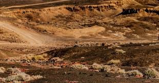 战巴萨贡献2球1助，布鲁日前锋福布斯当选欧冠全场最佳球员